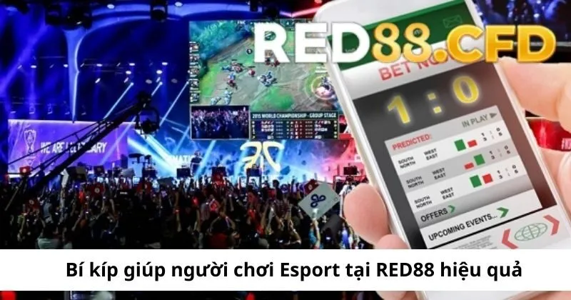 Mẹo giúp người chơi Esport tại Red88 hiệu quả