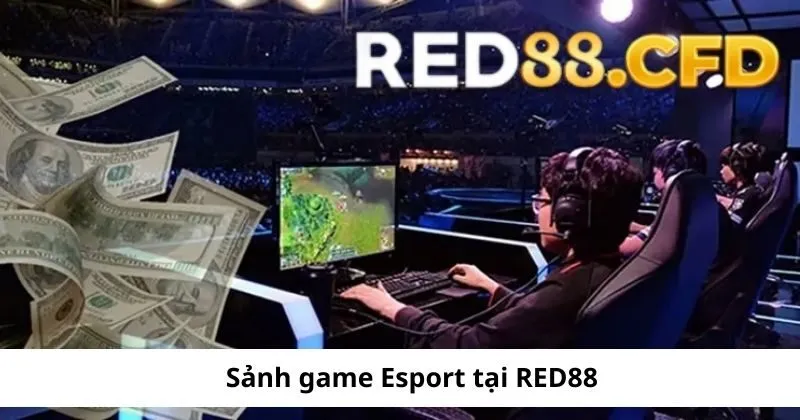 Tìm hiểu sảnh game Esport tại Red88