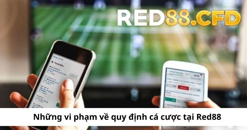 Vi phạm về quy định cá cược tại Red88